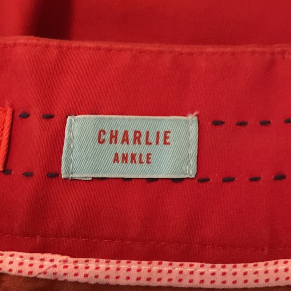 Anthropologie Cartonnier Burnt Orange Charlie Ankle Pants. Size 4 - Picture 12 of 15